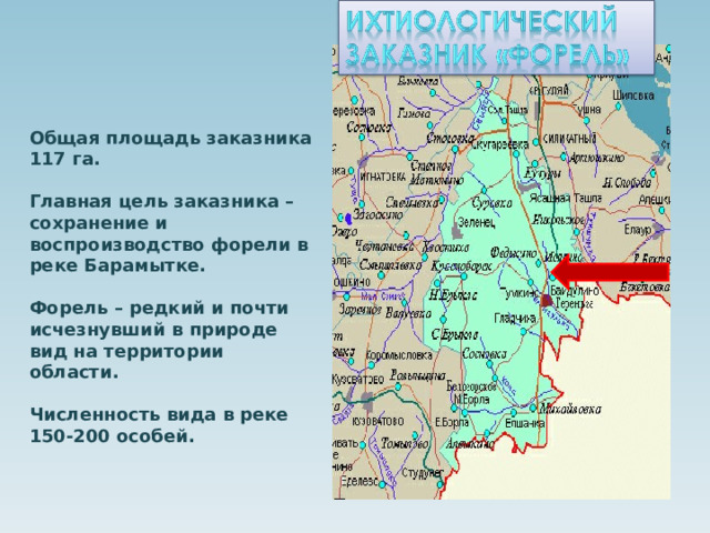 Общая площадь заказника 117 га.  Главная цель заказника – сохранение и воспроизводство форели в реке Барамытке.  Форель – редкий и почти исчезнувший в природе вид на территории области.  Численность вида в реке 150-200 особей. 