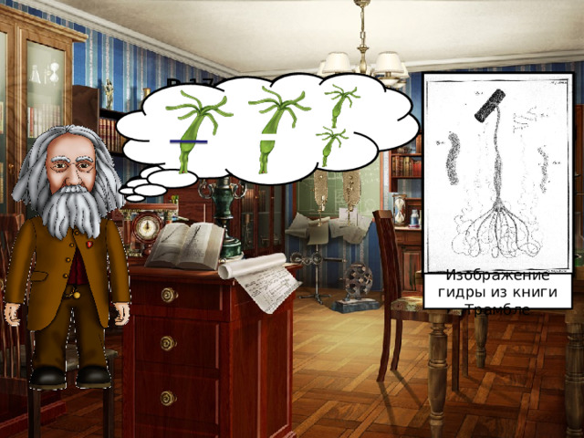 Гидры способны к регенерации . В 1744 г. А. Трамбле изучил и описал гидр Впервые гидр наблюдал Антони ван Левенгук Изображение гидры из книги Трамбле 