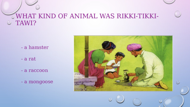 What kind of animal was Rikki-Tikki-Tawi?   - a hamster - a rat - a raccoon - a mongoose 