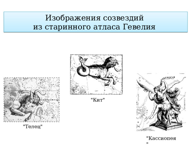 Изображения созвездий  из старинного атласа Гевелия 
