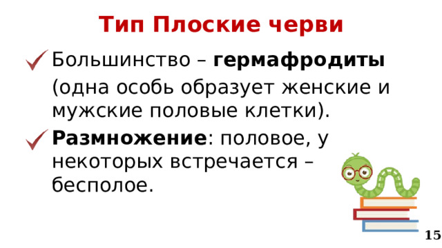 Тип Плоские черви Большинство – гермафродиты (одна особь образует женские и мужские половые клетки). Размножение : половое, у некоторых встречается – бесполое. 15 