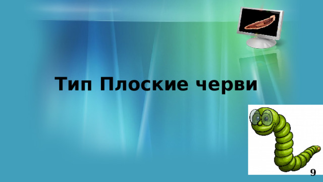  Тип Плоские черви   9 