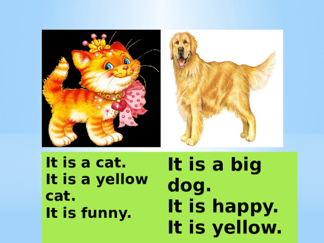It is a cat. It is a yellow cat. It is a big dog. It is funny. It is happy. It is yellow.   