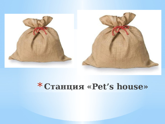 Станция «Pet’s house»   