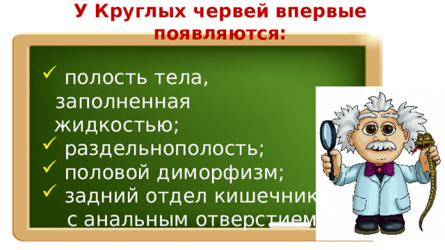 У Круглых червей впервые появляются:  полость тела, заполненная  жидкостью;  раздельнополость;  половой диморфизм;  задний отдел кишечника  с анальным отверстием. 