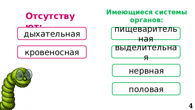 Имеющиеся системы органов: Отсутствуют: пищеварительная дыхательная выделительная кровеносная нервная половая 4 