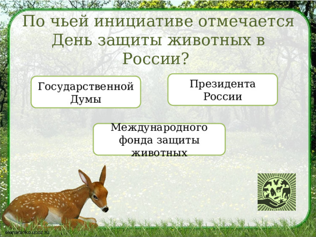 По чьей инициативе отмечается День защиты животных в России? Президента России Государственной Думы Международного фонда защиты животных 