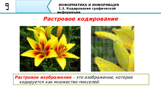 ИНФОРМАТИКА И ИНФОРМАЦИЯ 1.3. Кодирование графической информации Растровое кодирование Растровое изображение – это изображение, которое кодируется как множество пикселей. И линия, и область состоят из бесконечного числа точек. Цвет каждой из этих точек нам нужно закодировать. Если их бесконечно много, мы сразу приходим к выводу, что для этого нужно бесконечно много памяти. Поэтому «поточечным» способом изображение закодировать не удастся. Однако, эту все-таки идею можно использовать. 30 
