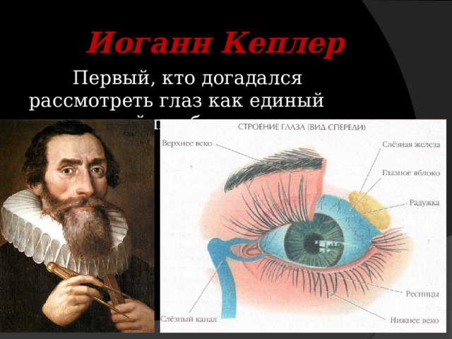 Иоганн Кеплер  Первый, кто догадался рассмотреть глаз как единый оптический прибор 