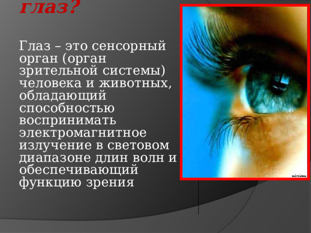 Что такое глаз? Глаз – это сенсорный орган (орган зрительной системы) человека и животных, обладающий способностью воспринимать электромагнитное излучение в световом диапазоне длин волн и обеспечивающий функцию зрения  