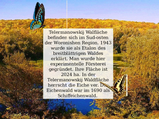 Telermanowskij Walfläche befinden sich im Sud-osten der Woronishen Region. 1943 wurde sie als Etalon des breitblättrigen Waldes erklärt. Man wurde hier experimentelle Försterei gegründet. Ihre Fläche ist 2024 ha. In der Telermanowskij Waldfläche herrscht die Eiche ver. Der Eichenwald war im 1690 als Schiffeichenwald. 