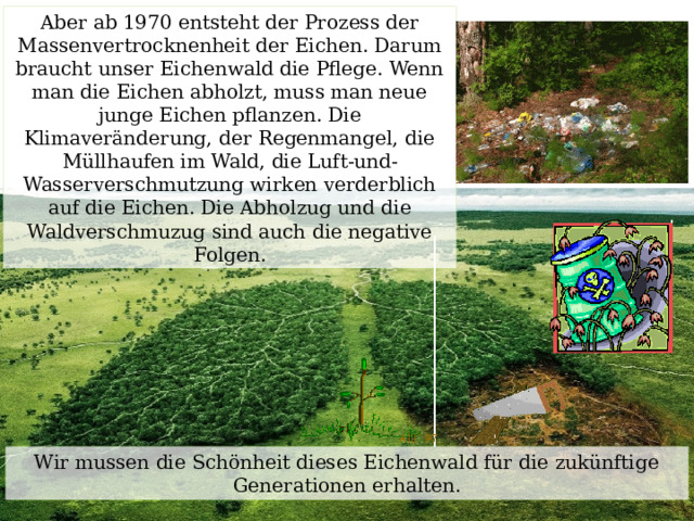 Aber ab 1970 entsteht der Prozess der Massenvertrocknenheit der Eichen. Darum braucht unser Eichenwald die Pflege. Wenn man die Eichen abholzt, muss man neue junge Eichen pflanzen. Die Klimaveränderung, der Regenmangel, die Müllhaufen im Wald, die Luft-und-Wasserverschmutzung wirken verderblich auf die Eichen. Die Abholzug und die Waldverschmuzug sind auch die negative Folgen. Wir mussen die Schönheit dieses Eichenwald für die zukünftige Generationen erhalten. 