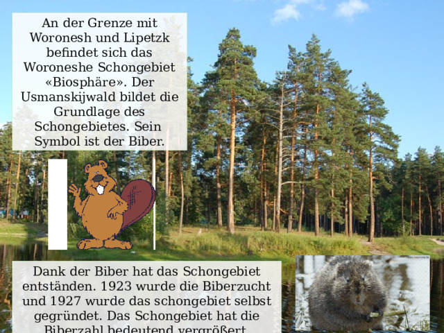 An der Grenze mit Woronesh und Lipetzk befindet sich das Woroneshe Schongebiet «Biosphäre». Der Usmanskijwald bildet die Grundlage des Schongebietes. Sein Symbol ist der Biber. Dank der Biber hat das Schongebiet entständen. 1923 wurde die Biberzucht und 1927 wurde das schongebiet selbst gegründet. Das Schongebiet hat die Biberzahl bedeutend vergrößert. 