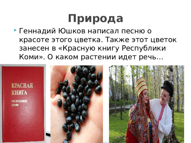 Природа Геннадий Юшков написал песню о красоте этого цветка. Также этот цветок занесен в «Красную книгу Республики Коми». О каком растении идет речь… 