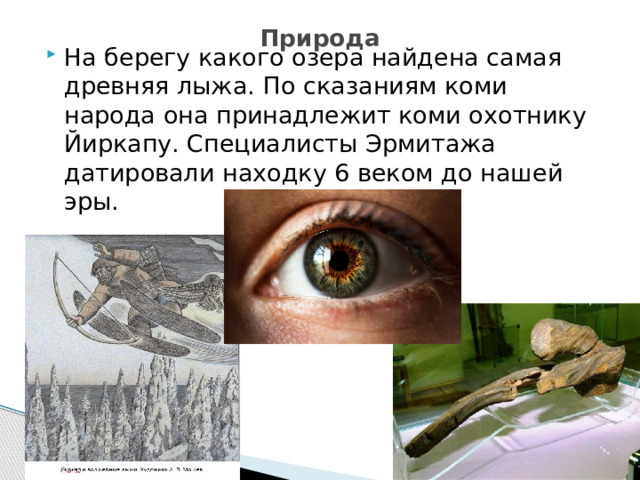 Природа На берегу какого озера найдена самая древняя лыжа. По сказаниям коми народа она принадлежит коми охотнику Йиркапу. Специалисты Эрмитажа датировали находку 6 веком до нашей эры. 