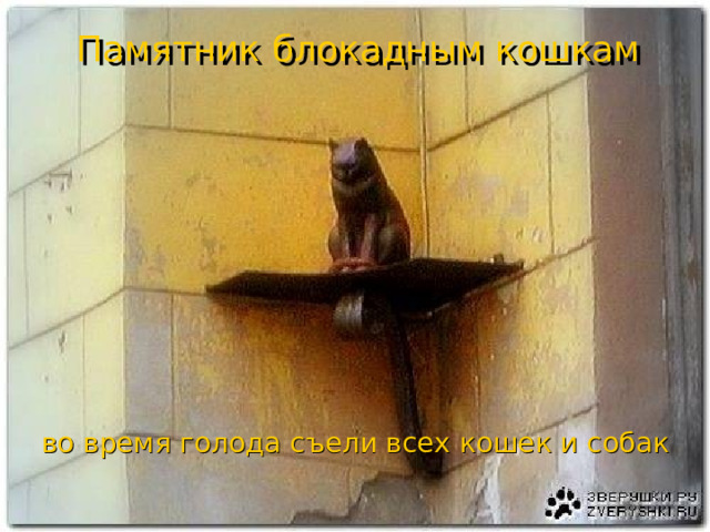 Памятник блокадным кошкам во время голода съели всех кошек и собак 