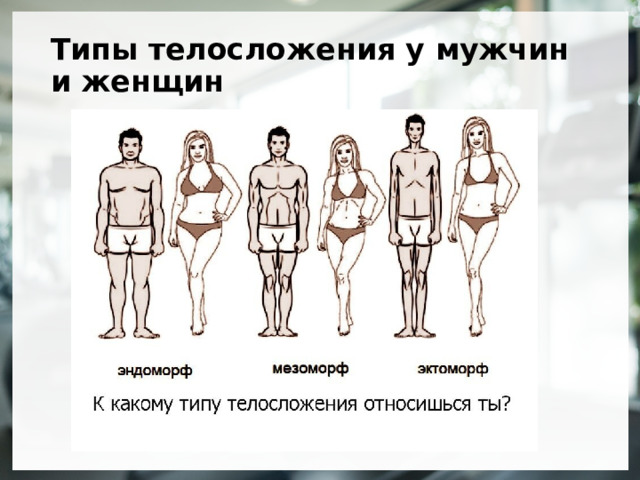 Типы телосложения у мужчин и женщин 