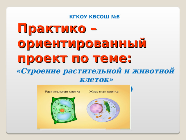 Практико –ориентированный проект по теме: КГКОУ КВСОШ №8 «Строение растительной и животной клеток» (Моделирование)  