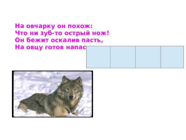 На овчарку он похож: Что ни зуб-то острый нож! Он бежит оскалив пасть, На овцу готов напасть 