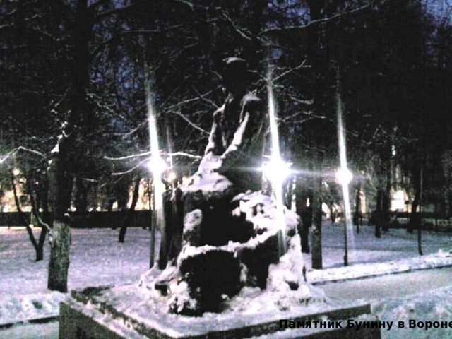 Памятник Бунину в Воронеже 
