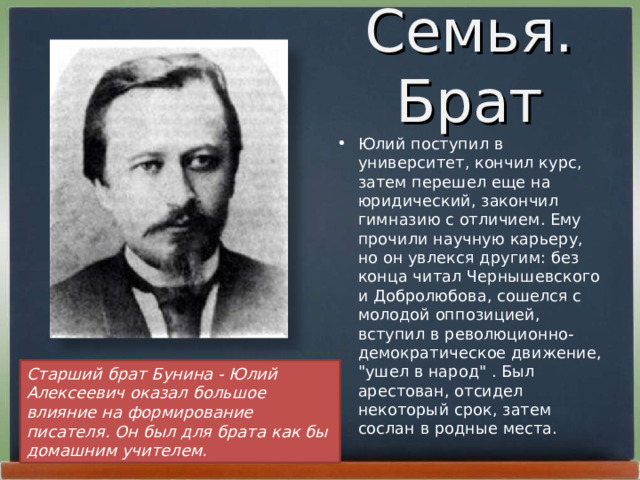 Семья. Брат Юлий поступил в университет, кончил курс, затем перешел еще на юридический, закончил гимназию с отличием. Ему прочили научную карьеру, но он увлекся другим: без конца читал Чернышевского и Добролюбова, сошелся с молодой оппозицией, вступил в революционно-демократическое движение, 
