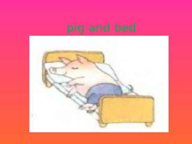 pig and bed 