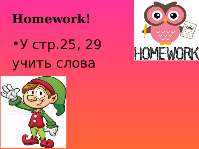 Homework! У стр.25, 29 учить слова 