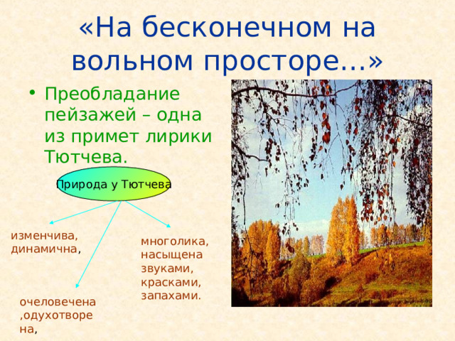 «На бесконечном на вольном просторе…» Преобладание пейзажей – одна из примет лирики Тютчева.  Природа у Тютчева Поэзию Тютчева нельзя представить без лирики природы. И в сознание читателей поэт вошёл прежде всего как певец природы, обладающий необыкновенной способностью улавливать именно те черты, по которым в воображении читателя может возникнуть и дорисоваться сама собою данная картина. изменчива, динамична , многолика, насыщена звуками, красками, запахами. очеловечена,одухотворена ,  