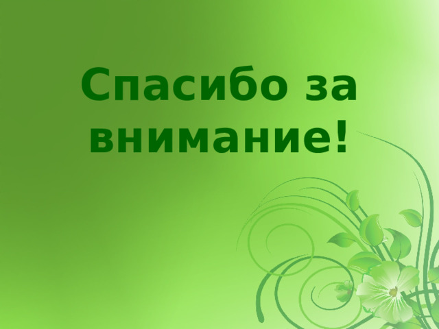 Спасибо за внимание! 