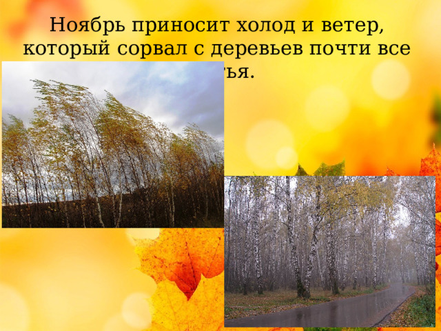 Ноябрь приносит холод и ветер, который сорвал с деревьев почти все листья. 