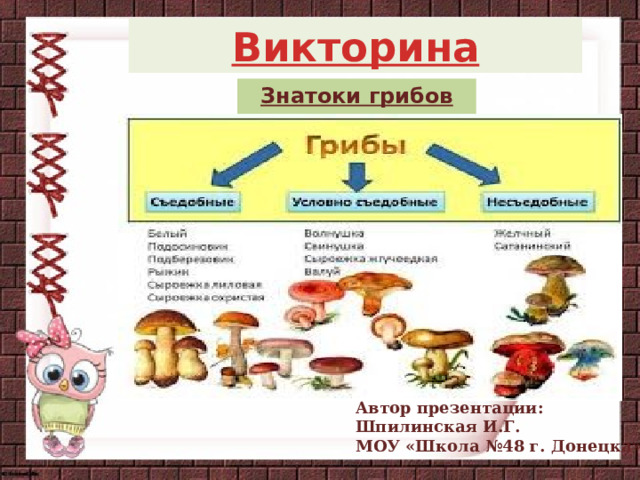 Викторина Знатоки грибов Автор презентации: Шпилинская И.Г. МОУ «Школа №48 г. Донецка » 