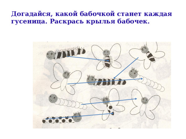 Догадайся, какой бабочкой станет каждая гусеница. Раскрась крылья бабочек. 