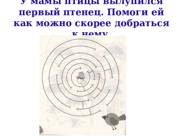 У мамы птицы вылупился первый птенец. Помоги ей как можно скорее добраться к нему. 