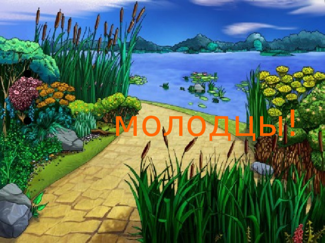 молодцы!