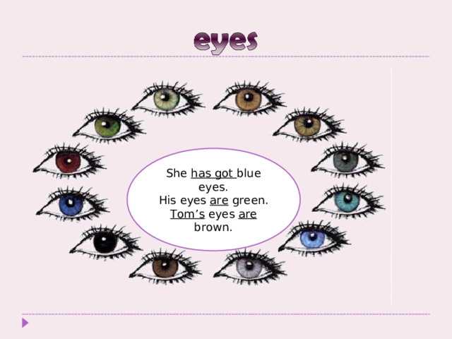 She has got blue eyes. His eyes are green. Tom’s eyes are brown. 