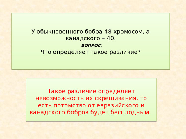   У обыкновенного бобра 48 хромосом, а канадского – 40.   ВОПРОС:  Что определяет такое различие?     Такое различие определяет невозможность их скрещивания, то есть потомство от евразийского и канадского бобров будет бесплодным. 