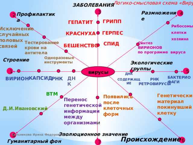 Логико-смысловая схема «Вирусы» ЗАБОЛЕВАНИЯ 3 Размножение Профилактика 4 2 ГРИПП ГЕПАТИТ Рибосомы клетки хозяина Исключение случайных половых связей ГЕРПЕС КРАСНУХА Тестирование крови на антитела Синтез СПИД ВИРИОНОВ по программе вируса БЕШЕНСТВО Одноразовые инструменты Строение Экологические группы вирусы 1 5 ДНК СОДЕРЖАЩИЕ КАПСИД БАКТЕРИО ФАГИ ДНК ВИРИОН РНК РНК РЕТРОВИРУСЫ ВТМ Генетический материал покинувший клетку Появились после клеточных форм Перенос генетической информации между организмам и Д.И.Ивановский Эволюционное значение Сальникова Ирина Федоровна 8 Происхождение Гуманитарный фон 6 7