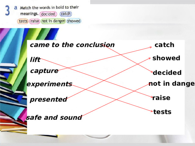 Using a computer network spotlight 8. Using a Computer Network Spotlight 8 презентация.