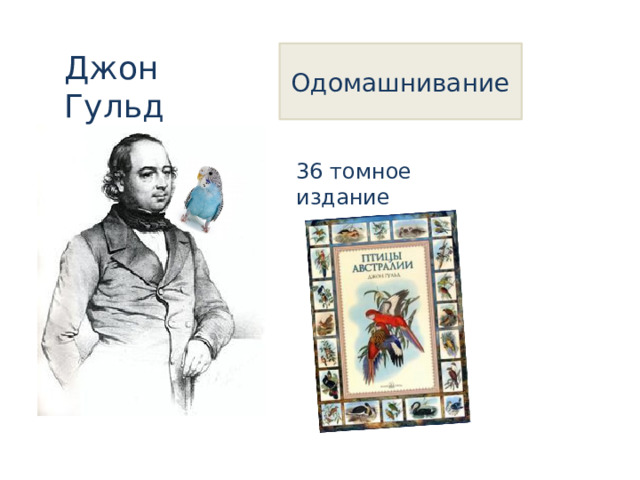 Джон Гульд Одомашнивание 36 томное издание 