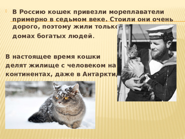 В Россию кошек привезли мореплаватели примерно в седьмом веке. Стоили они очень дорого, поэтому жили только в церквях и домах богатых людей . В настоящее время кошки делят жилище с человеком на всех континентах, даже в Антарктиде. 
