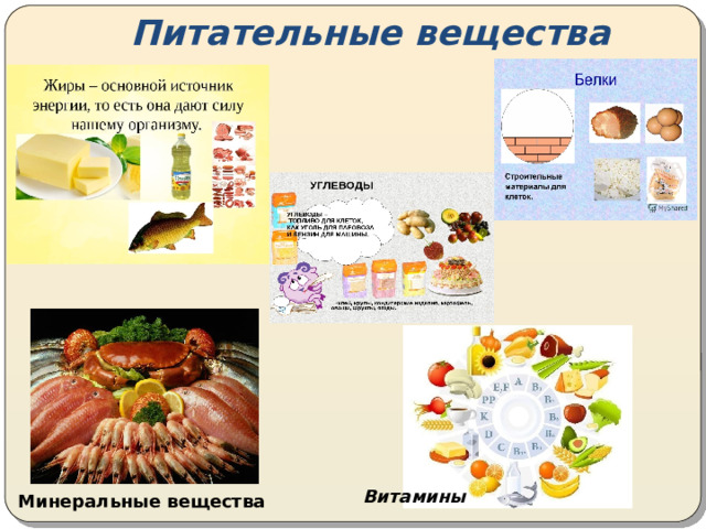 Проект математика здорового питания