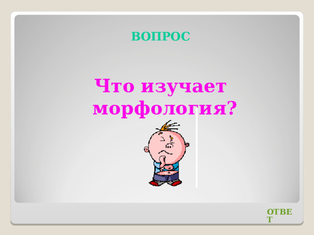  ВОПРОС Что изучает морфология? ОТВЕТ 