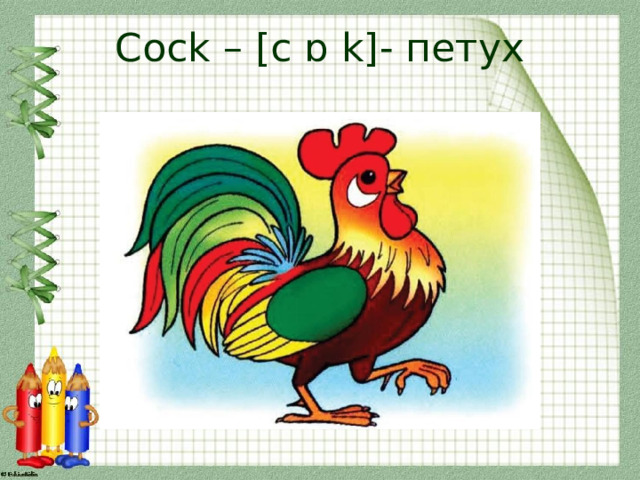 Cock – [c ɒ k]- петух 