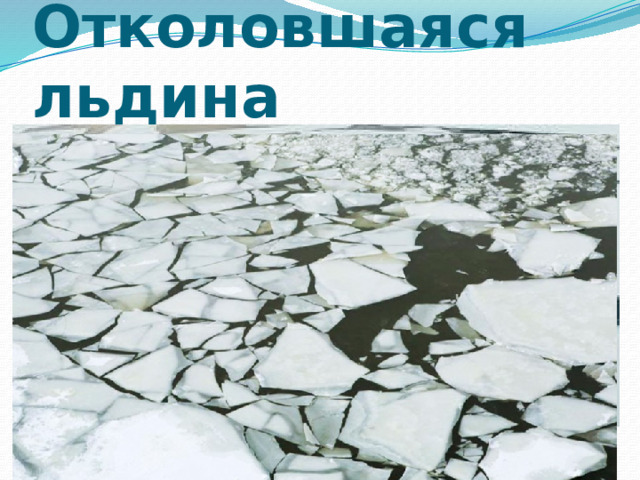 Отколовшаяся льдина 