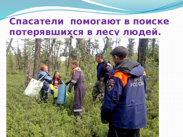 Спасатели помогают в поиске потерявшихся в лесу людей. 