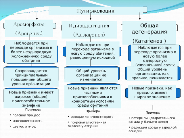 Общая дегенерация (Катагенез ) Наблюдается при переходе организма в более неоднородную (усложненную) среду обитания Наблюдается при переходе организма в новую среду обитания, равноценную исходной Наблюдается при переходе организма в новую более однородную (упрощенную) среду Общий уровень организации, как правило, понижается Сопровождается принципиальным повышением общего уровня организации Общий уровень организации не изменяется Новые признаки являются частными приспособлениями к конкретным условиям среды обитания Новые признаки, как правило, имеют широкое значение Новые признаки имеют широкое (общее) приспособительное значение Примеры:  половой процесс  многоклеточность  цветок и плод Примеры:  роющие конечности крота  покровительственная окраска у лягушки Примеры:  потеря пищеварительного канала у бычьего цепня  редукция хорды у взрослой асцидии 