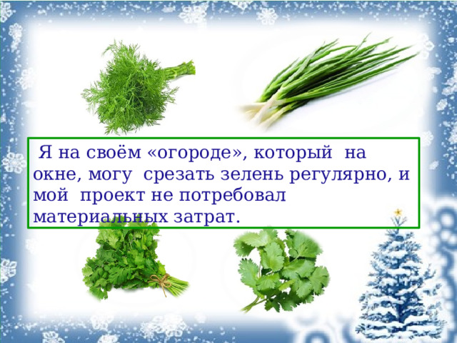  Я на своём «огороде», который на окне, могу срезать зелень регулярно, и мой проект не потребовал материальных затрат. 