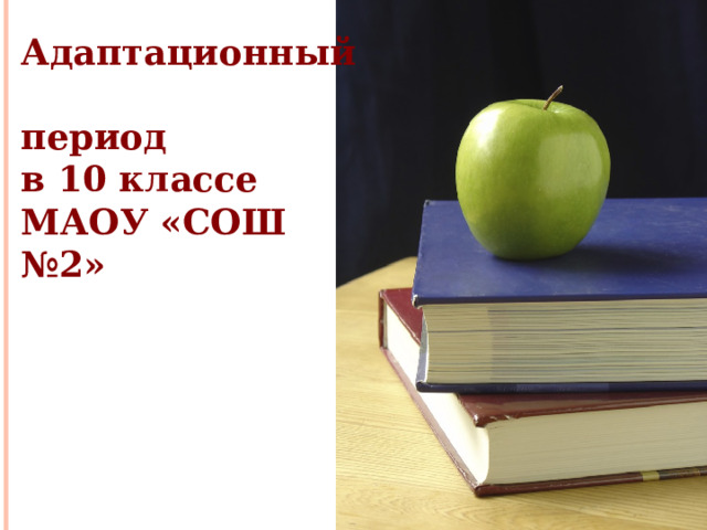 Адаптационный  период  в 10 классе  МАОУ «СОШ №2» 