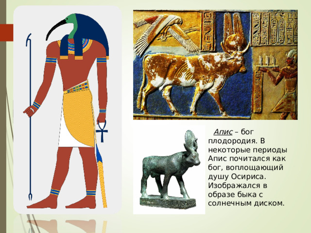 Апис – бог плодородия. В некоторые периоды Апис почитался как бог, воплощающий душу Осириса. Изображался в образе быка с солнечным диском. 