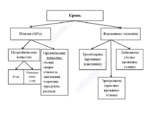 Закончите схему на основании текста параграфа